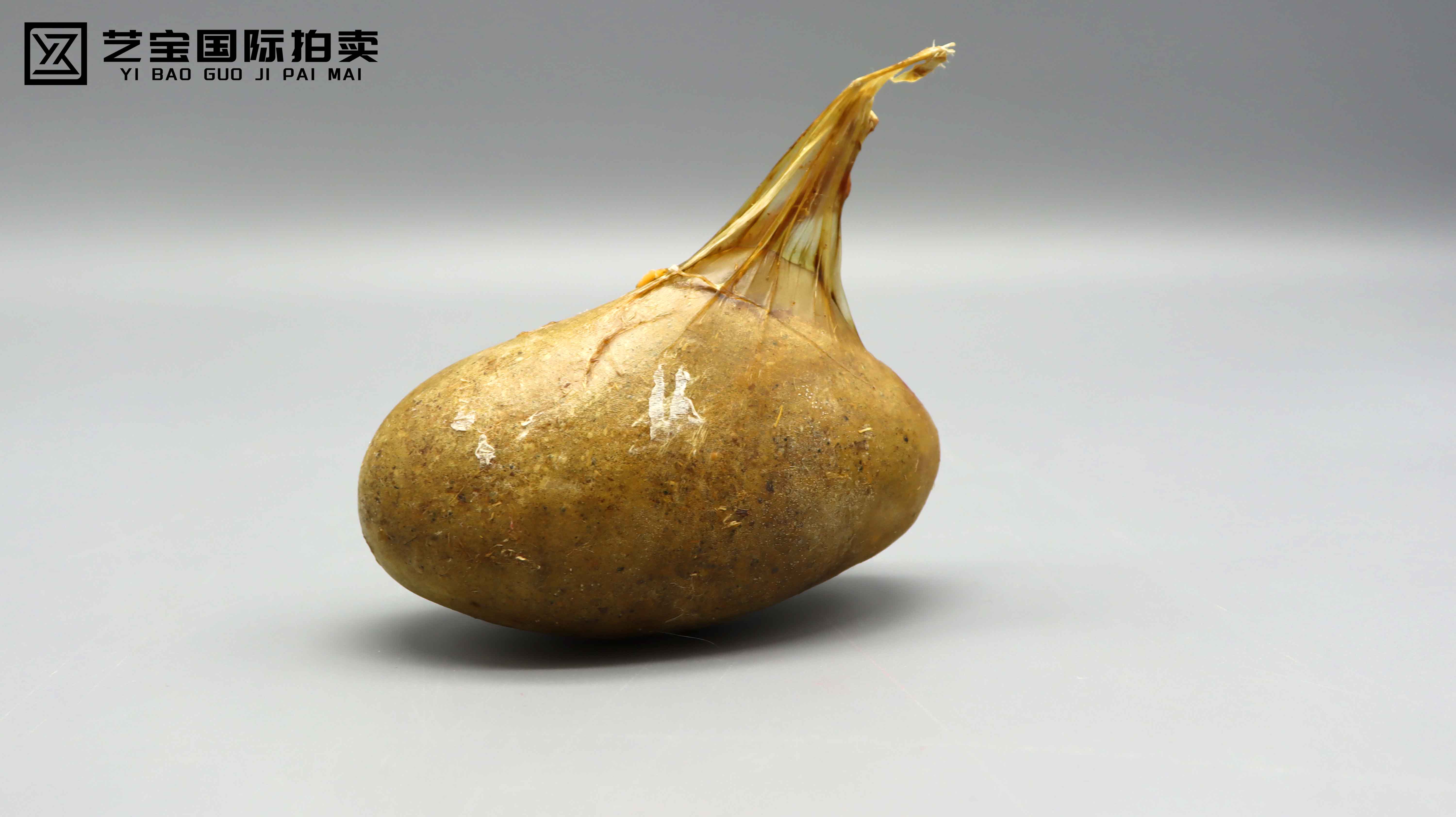 现代 羊宝 专场.jpg